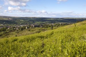 ilkley moor june 27 2012 sm.jpg